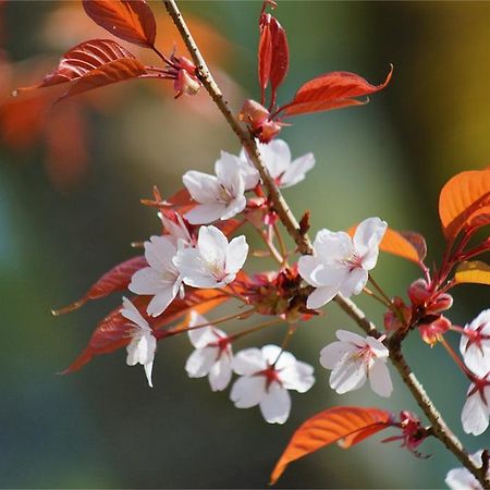 교토 Gion Fuka 빌라 외부 사진